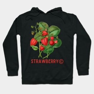 Vintage Strawberry Classic Hoodie